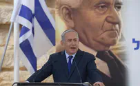 "התקפות ארסיות"        