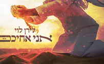 "אני אחיכם" - שיר חדש על פרשת השבוע