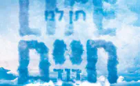 חיים דוד ברסון חוזר באלבום מלא חיים!