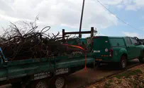 נהרסה החורשה לזכר חלל הפיגוע