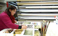 Art as an aid to psychological healing