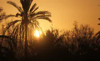 כשההשגחה הופכת גלויה – לפרשת וארא