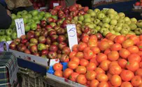 שנת שיא ביבול הפירות הישראלי