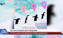 ILTV Tel Aviv stands with penguins