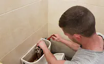סתימות בשירותים: למה ואיך פותרים?