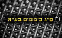 ברוכה הבאה:מה היא אמנות הכיפוף?