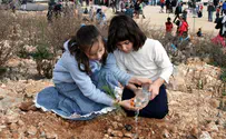 Tu B'Shvat - a holiday of Jewish faith