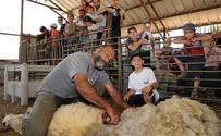 What is kosher clothing?