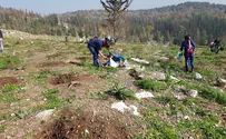 צילום: קובי פינקלר נטיעות עליך ישראל