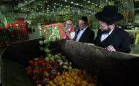 Meet the Israeli rabbi who will oversee kashrut in UAE