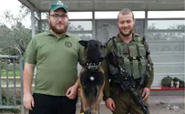 יחידת הכלבנים - בצמתים המסוכנים