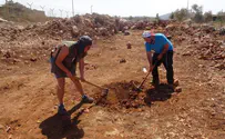 Collective responsibility: A Tu Bishvat lesson