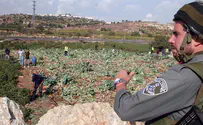 More than 6 mil cubic meters of water stolen in Judea, Samaria