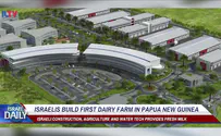 ILTV Israelis build first dairy farm in Papua New Guinea