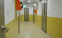 הממשלה אישרה: פחות פושעים יגיעו לכלא