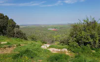 מלכיש ועד יואב הכל בשפלה ירוק