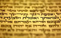 הכירו את "הגונז"    