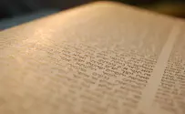 הכירו את צעיר לומדי הדף היומי 