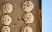Kosher.com Kosher for Passover Chocolate Chip Cookies