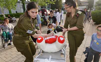 בית חולים לדובים        