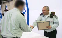 אומץ לב, נחישות, תושייה   