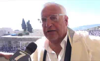 US Ambassador: These are not peaceful protests