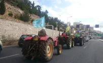 Agricultural terror rages: Where is the government?