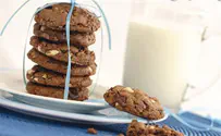 Kosher.com Speckled Chocolate Cookies