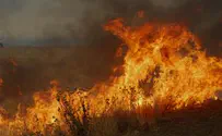 פלאש 90 יו"ר קק"ל: השריפות בגליל - הצתות מכוונות