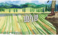 יש בי טוב - הלהקות הצבאיות 2018