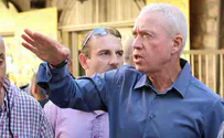 'No Islamic mini-state in Israel'