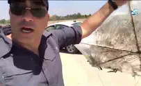 מבט מקרוב: כך בנויים עפיפוני הטרור
