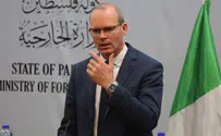 Ireland summons Israeli ambassador over deaths of Gaza rioters