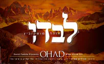 אוהד מושקוביץ בסינגל חדש - 'לבדו'