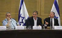 ''דין אבטיח אחד כדין שדה שלם''