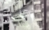 Watch: Security forces charge at terrorist