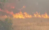 הפתרון לטרור העפיפונים: "לתת בראש"