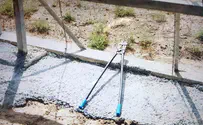 תיעוד: המטען שהוסווה בקאטר נוטרל