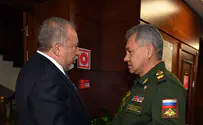 Либерман встретился с Шойгу. Видео