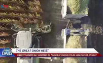 ILTV The great onion heist