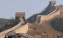 הסינים באים ללמוד אדריכלות ירוקה מישראל