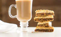 Kosher.com Chocolate Chip Cheese Squares