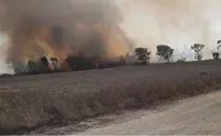 השרים דורשים לחסל, ראשי צה"ל מתנגדים