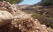 Arab antiquity thieves: 'Lowlifes'