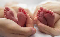 How many babies were born in the year of COVID-19?