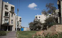 21.6 מיליון שקלים לחיזוק מצפה רמון