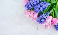 Judges won't hear anti-SSA marriage florist case