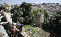 בקרוב יוקמו בנייני מגורים בעיר דוד?