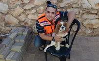 New four-legged volunteer in United Hatzalah psychotrauma unit