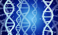 ILTV Unraveling DNA of medical cannabis